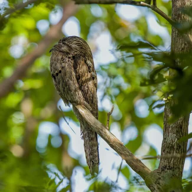 Rockland Bird Sanctuary and Shopping with Transportation - Additional Experiences and Comparisons