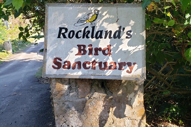 Rockland Bird Sanctuary Private Guided Tour From Montego Bay - Tour Highlights