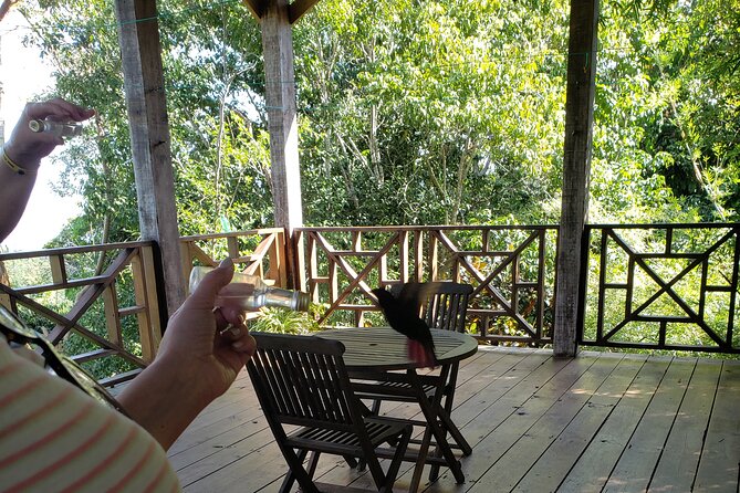 Rockland Bird Sanctuary Private Guided Tour From Montego Bay - Booking Information
