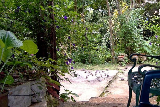 Rockland Bird Sanctuary Private Tour - Tour Overview