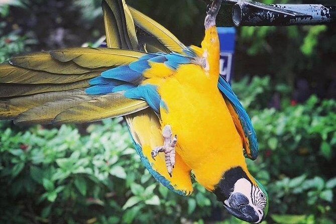 Rockland Bird Sanctuary Tour [Transportation] Hotel Pick-Up - Good To Know