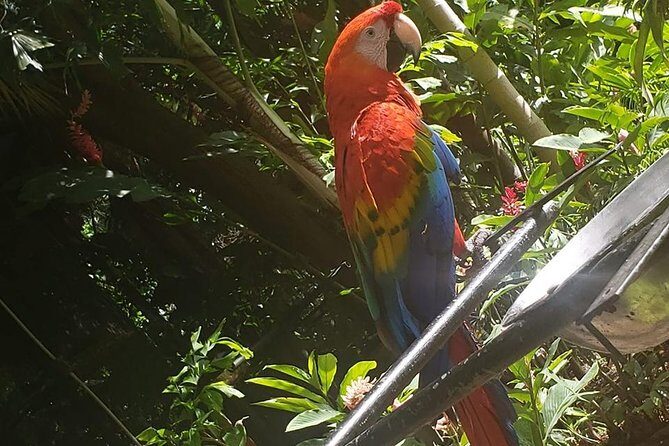 Rockland Bird Sanctuary Tour [Transportation] Hotel Pick-Up - Detailed Review of the Rockland Bird Sanctuary Tour