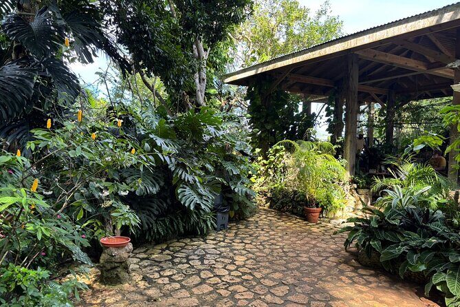 Rocklands Bird Sanctuary & St James Parish Church - Practical Details and Tips