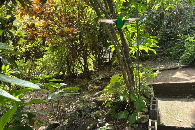 Rocklands Bird Sanctuary & St James Parish Church - The Sum Up: Who Should Consider This Tour?