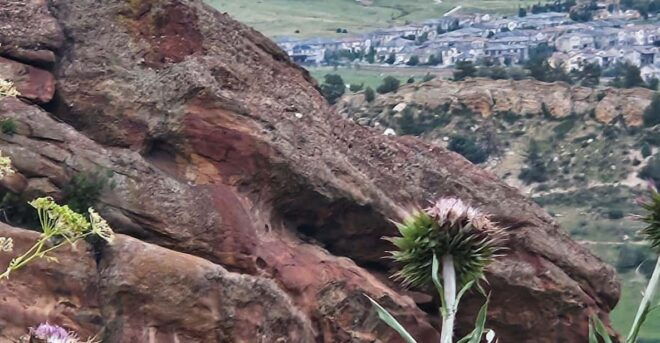 Rocky Mountain HIGH: Cannabis Mountain Tour - Unique Cannabis-Friendly Adventure