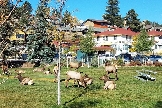 Rocky Mountain National Park in Summer Tour From Denver - Cancellation Policy