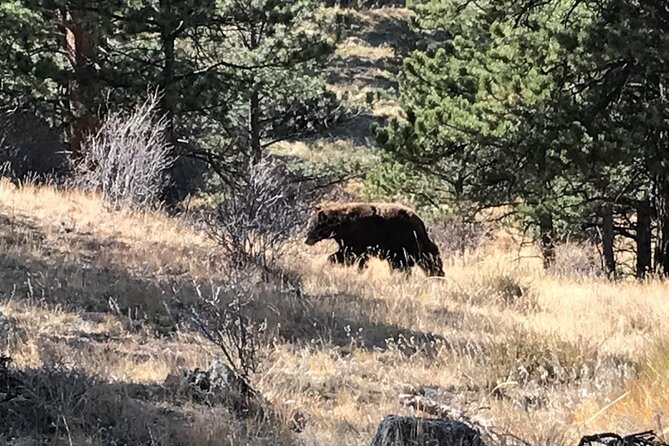 Rocky Mountain National Park in Summer Tour From Denver - The Sum Up