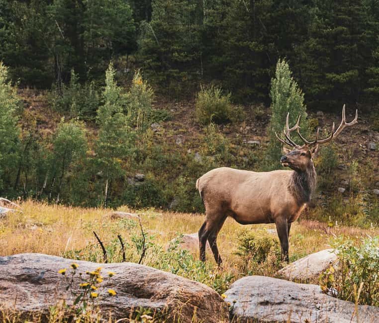 Rocky Mountain National Park: Private Hike to Emerald Lake - Authentic Insights from Past Travelers