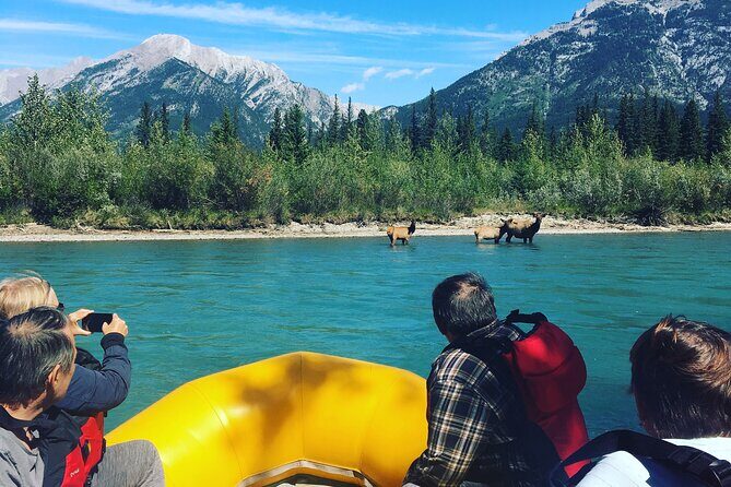 Rocky mountain - VIP Experience - Private Boat - The Experience in Detail