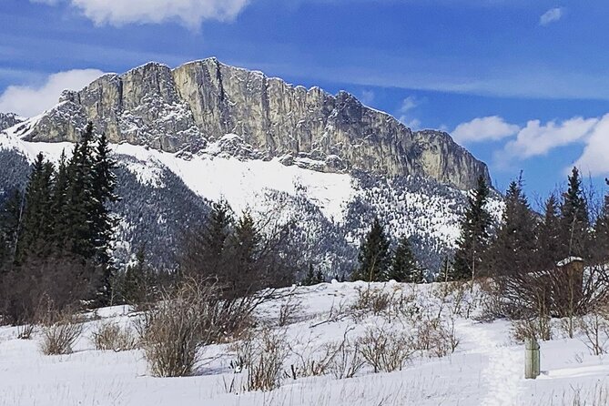 Rocky Mountains: Small-Group Winter Hike From Canmore - Cancellation Policy and Weather Considerations