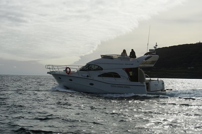Rodman Motor Yacht Tour of Faial, Pico and São Jorge Islands - Good To Know