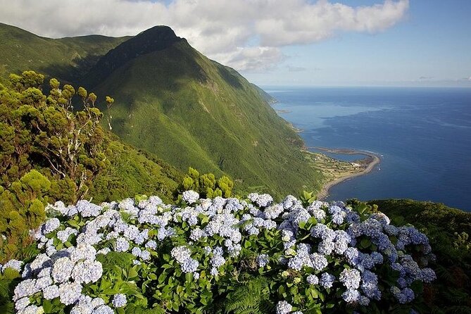 Rodman Motor Yacht Tour of Faial, Pico and São Jorge Islands - Pricing and Reservation Options