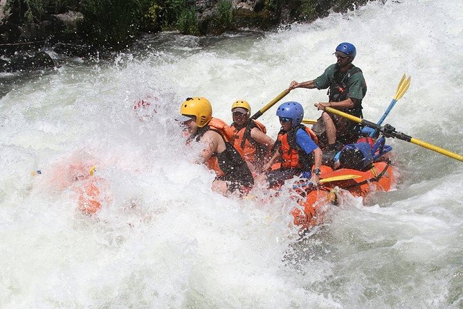 Rogue River Half-Day Intro to Whitewater - Tour Overview