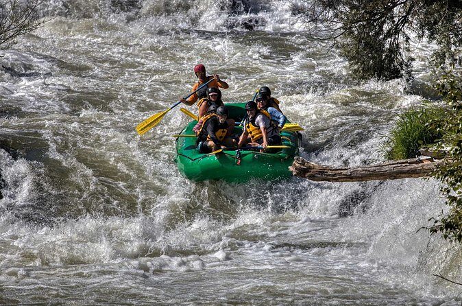 Rogue River Half Day Whitewater Trip Nugget Falls - Who Should Consider This Tour?