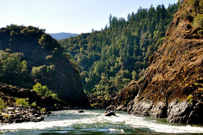 Rogue River Multi-Day Rafting Trip - Distribution of Star Ratings