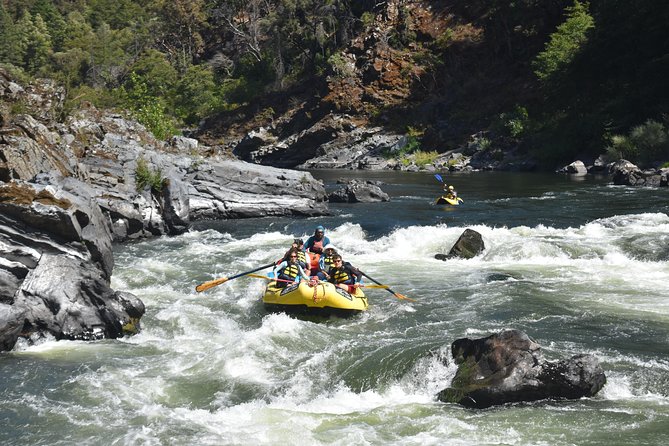 Rogue River Multi-Day Rafting Trip - Reviews by Viator Travelers