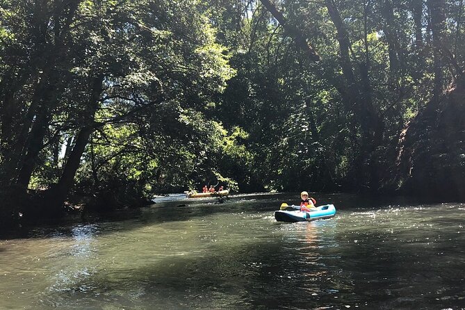 Rogue River Scenic Float - Cancellation Policy and Traveler Reviews