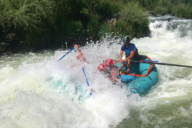 Rogue River Thrill Seeker - What to Expect on the Tour
