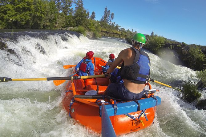 Rogue River Thrill Seeker - Traveler Photos of the Rogue River Thrill Seeker Tour