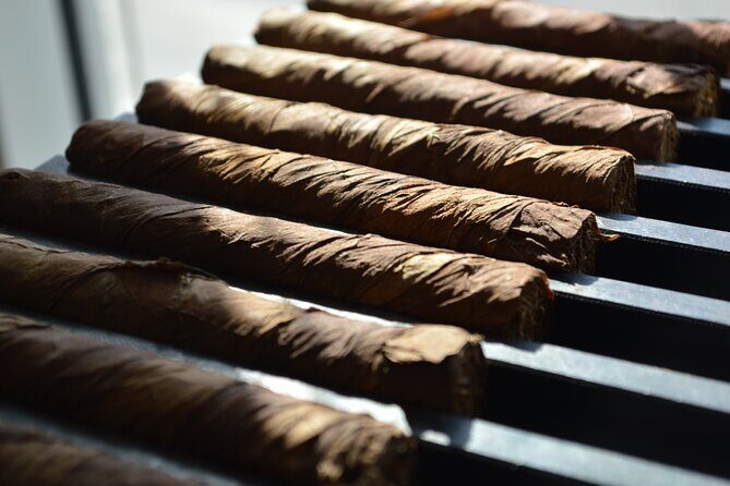 Roll your Own Cigar in Puerto Plata - Authentic Experience in a Historic Setting