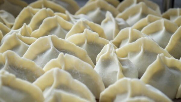 Rolling Delights: Chinese Dumpling Cooking Class in New York - Customer Reviews