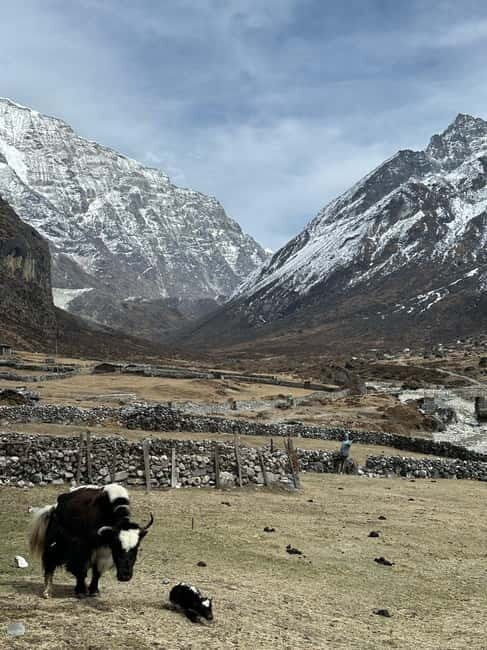 Rolwaling Valley Trek: Explore Sacred Lakes 12-Days - Who Should Consider This Trek?