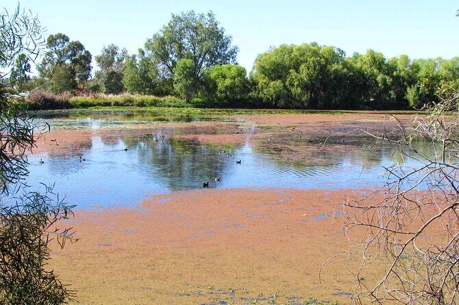 Roma: 1-Hour Birdwatching Nature Trail Walk - The Sum Up