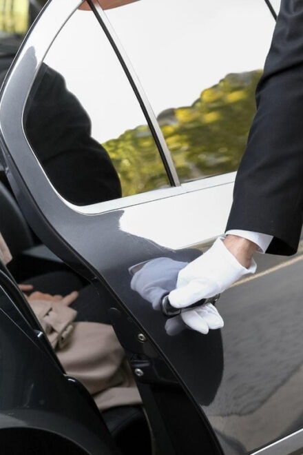 Roma Airport Transfers: Best Rides to Your Destination - Professional Driver Services
