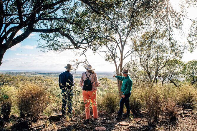 Roma: Landscape and Legacy Day Tour Including Lunch - Good To Know