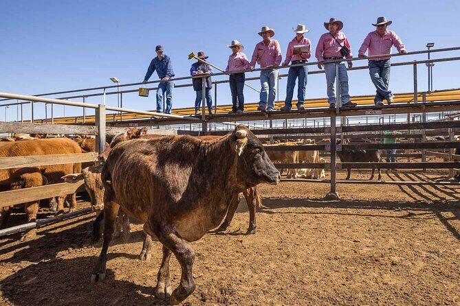 Roma: Landscape and Legacy Day Tour Including Lunch - Massey Downs Homestead Gardens: A Glimpse into Local Life