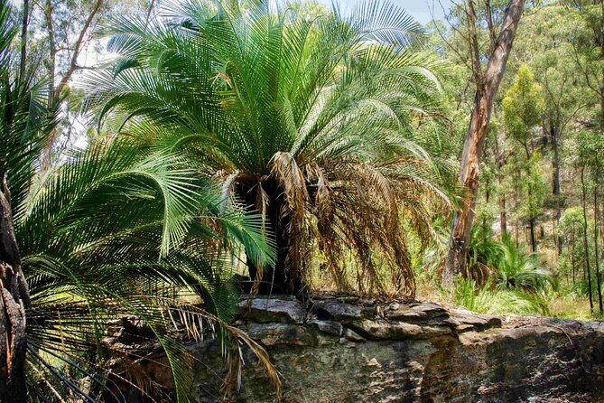 Roma: Lost World Carnarvons (Wallaroo) Day Tour - Practical Details: Transportation, Duration, and Value