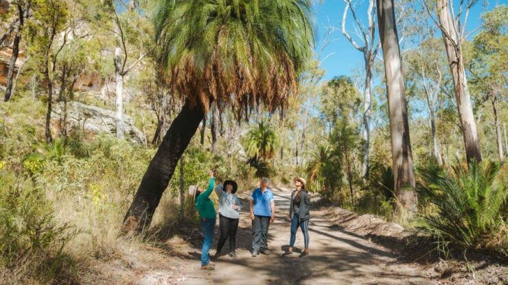 Roma: Lost World Carnarvons (Wallaroo) Day Tour - Booking Details