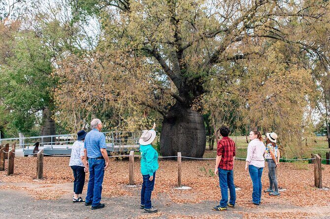 Roma Revelation Tour Experience - Good To Know