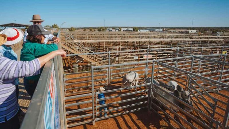 Roma: Roma Revelation Half Day Tour - Good To Know