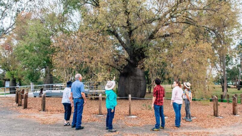Roma: Roma Revelation Half Day Tour - The Sum Up