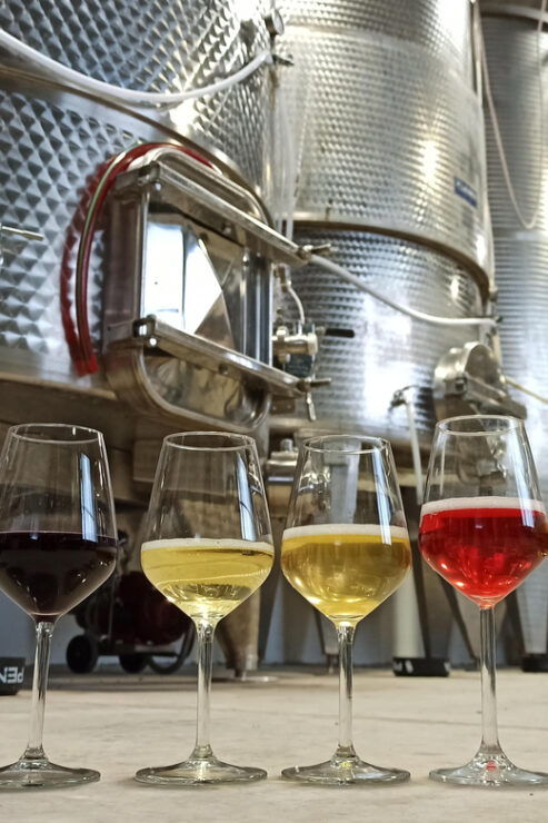 Romagna: Wine Tour With the Winemaker - Booking Information
