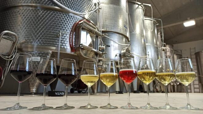Romagna: Wine Tour With the Winemaker - Local Produce Sampling