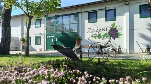Romagna: Wine Tour With the Winemaker - Accessibility and Languages