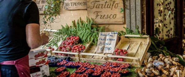 Roman Countryside: a Day Wine and Food Tasting, Private Tour - Special Events and Festivals