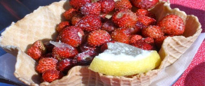 Roman Countryside: a Day Wine and Food Tasting, Small Group - Wine and Food Experience