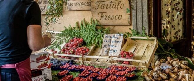 Roman Countryside: a Day Wine and Food Tasting, Small Group - Transportation and Assistance