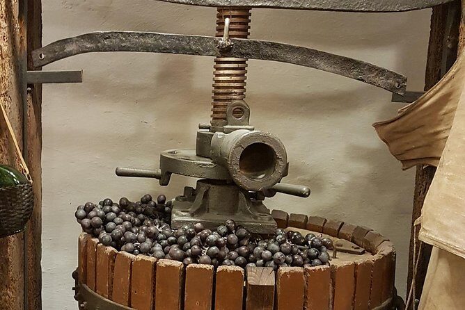 Roman Countryside: Wine and Food Tasting, Semi-Private Day Tour - Practical Tips for Travelers