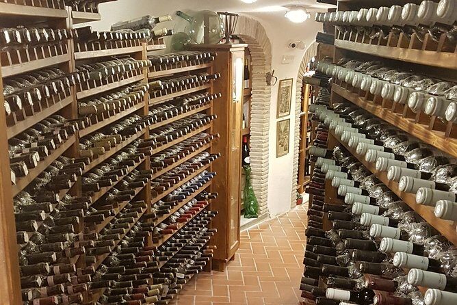 Roman Countryside: Wine and Food Tasting, Semi-Private Day Tour - Final Thoughts