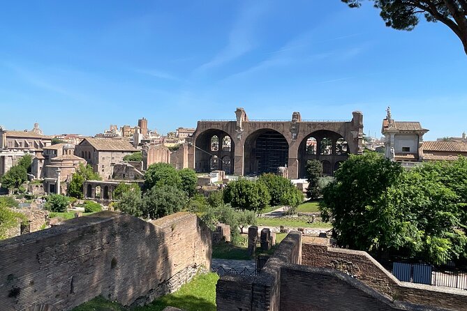 Roman Forum and Palatine Hill Guided Tour - Tour Highlights