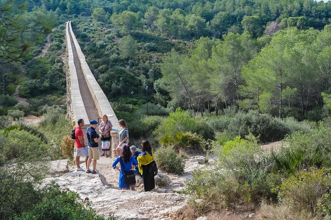 Roman Tarragona and Glamorous Sitges Small Group Tour From Barcelona - Feedback on Time Allocation