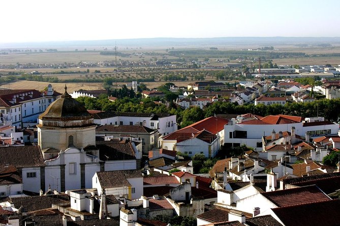 Romans and Ruins Full Day Tour From Evora by Archaeologists - Tour Itinerary