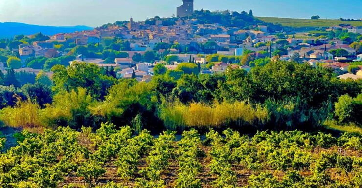 Romans and Wine - Roman Influence on Wine Culture