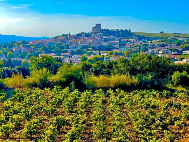Romans and Wine - Key Roman Wine Regions