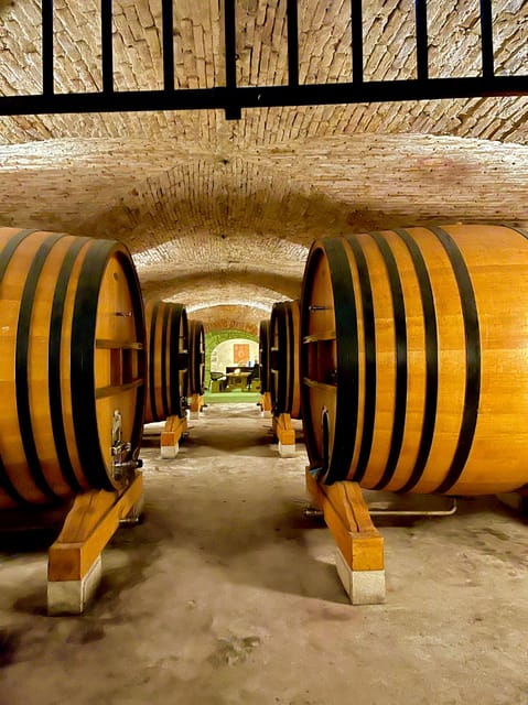 Romans and Wine - Modern Wine Production in Provence