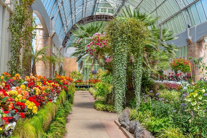 Romantic Charms of Auckland - Walking Tour - Exploring Quaint Streets and Alleyways